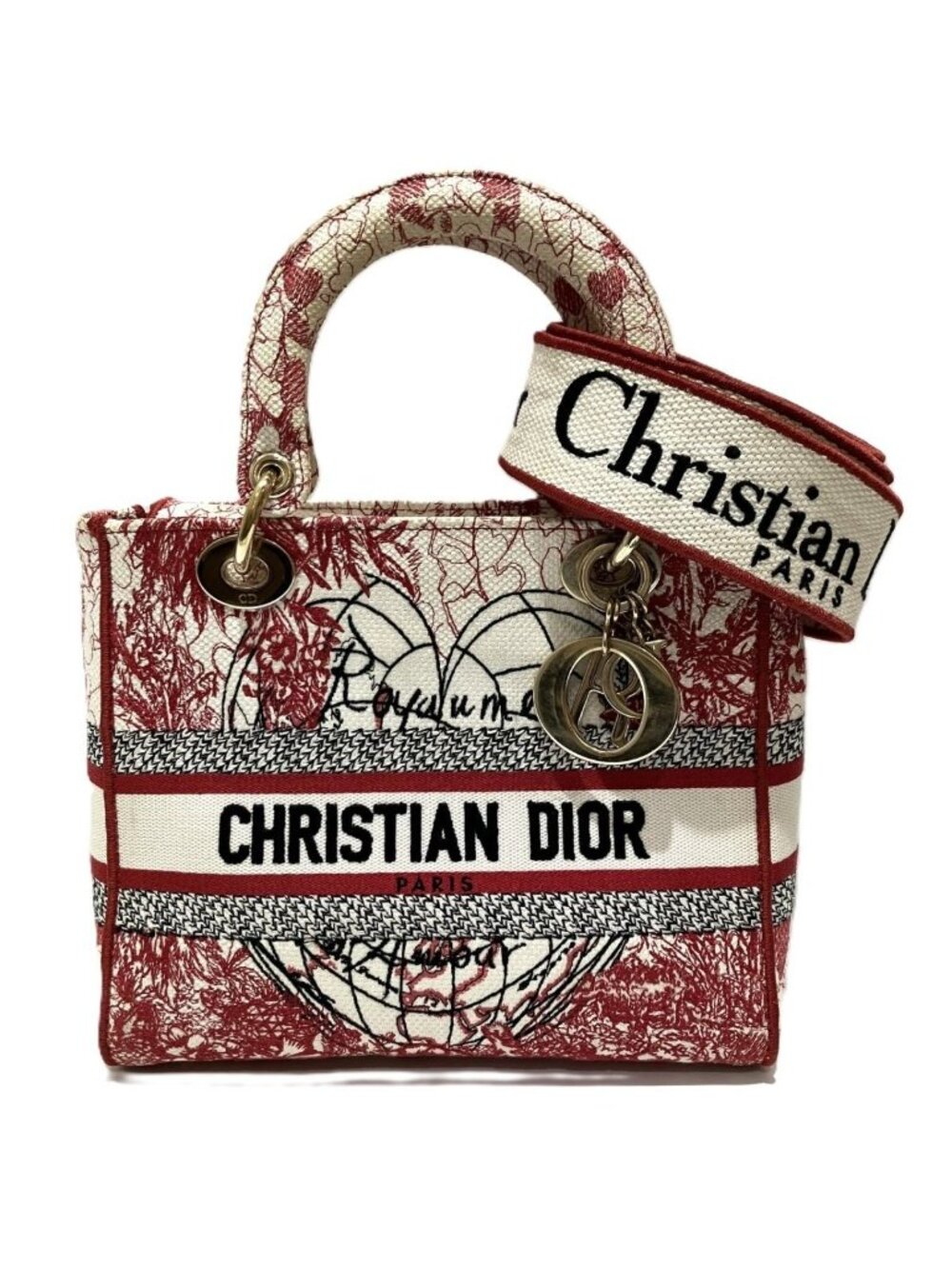 Dior les Didi Light Medium Lady Handbag Canvas